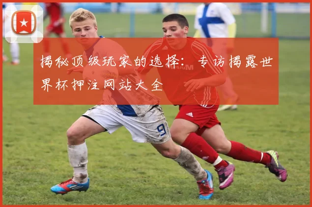 揭秘顶级玩家的选择：专访揭露世界杯押注网站大全