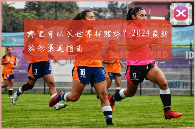 哪里可以买世界杯赌球？2024最新购彩渠道指南