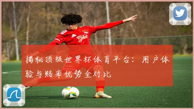 揭秘顶级世界杯体育平台：用户体验与赔率优势全对比