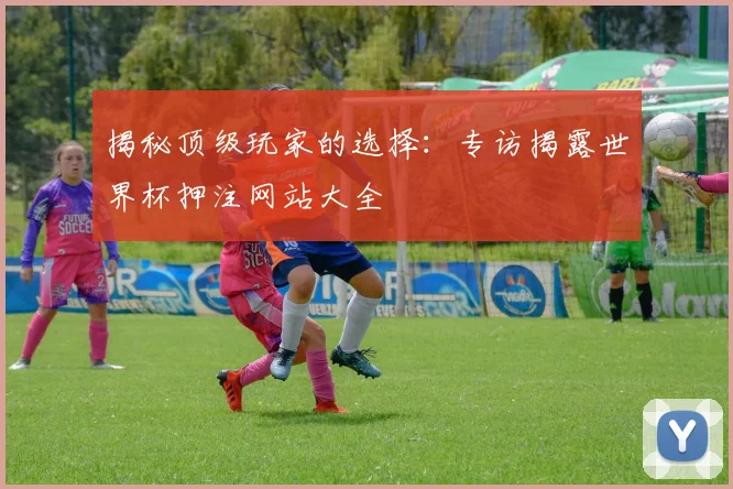 揭秘顶级玩家的选择：专访揭露世界杯押注网站大全