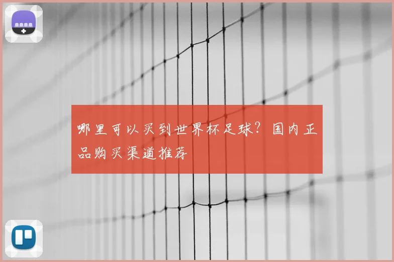 哪里可以买到世界杯足球？国内正品购买渠道推荐