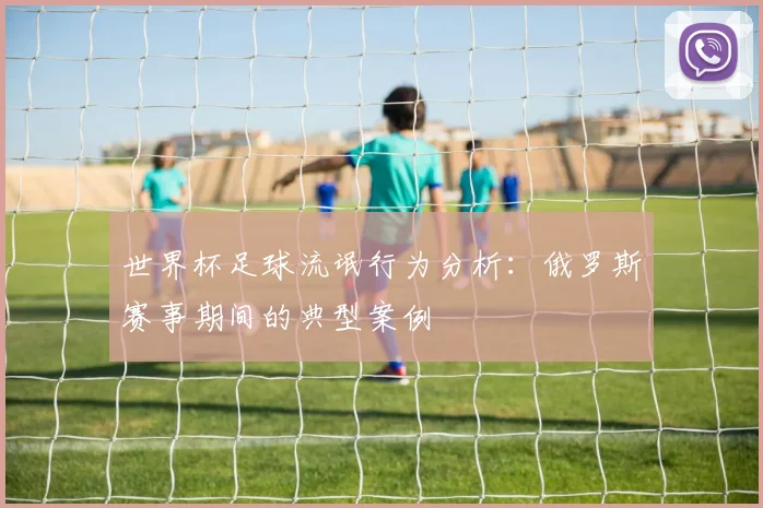 世界杯足球流氓行为分析:俄罗斯赛事期间的典型案例